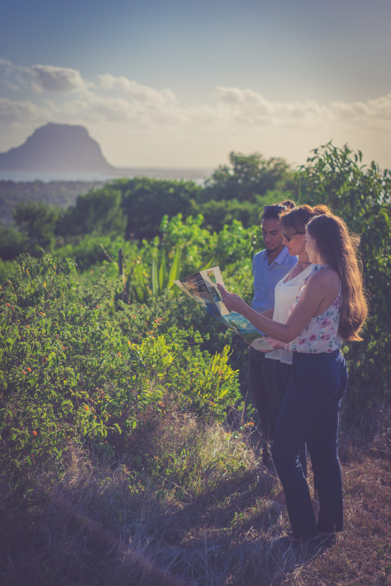 Curated visual reference: Picture Idea: Eco Responsible Luxury Villas In Mauritius